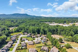 409 Trillium Creek Ct, Travelers Rest, SC 29690 - Photo 37