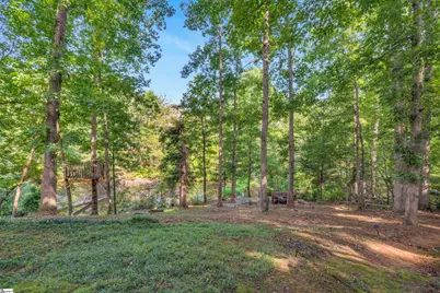 652 Mount Vernon Lane, Duncan, SC 29334 - Photo 33