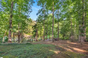 652 Mt Vernon Ln, Duncan, SC 29334 - Photo 33