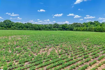 E Rambo Road, Rock Hill, SC 29730 - Photo 17