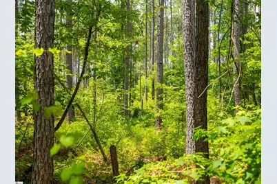 00 Cheek Road #Lot 9, Gray Court, SC 29645 - Photo 21