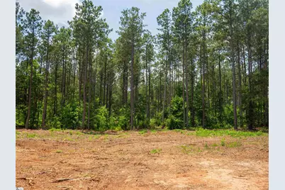 00 Cheek Road #Lot 9, Gray Court, SC 29645 - Photo 11
