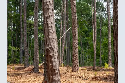00 Cheek Road #Lot 9, Gray Court, SC 29645 - Photo 19
