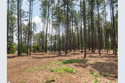 00 Cheek Road #Lot 10, Gray Court, SC 29645 - Photo 11