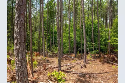 00 Cheek Road #Lot 10, Gray Court, SC 29645 - Photo 21