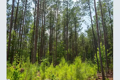 00 Cheek Road #Lot 10, Gray Court, SC 29645 - Photo 19