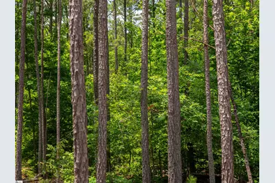 00 Cheek Road #Lot 10, Gray Court, SC 29645 - Photo 15