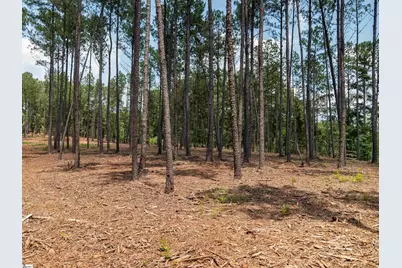 00 Cheek Road #Lot 10, Gray Court, SC 29645 - Photo 13