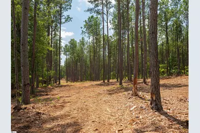 00 Cheek Road #Lot 12, Gray Court, SC 29645 - Photo 9