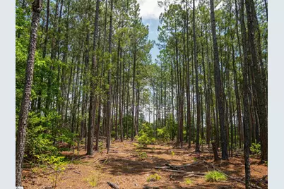 00 Cheek Road #Lot 12, Gray Court, SC 29645 - Photo 15
