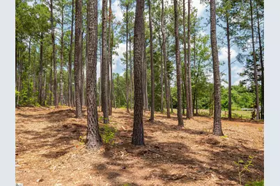 00 Cheek Road #Lot 12, Gray Court, SC 29645 - Photo 11