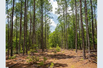 00 Cheek Road #Lot 12, Gray Court, SC 29645 - Photo 13
