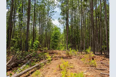 00 Cheek Road #Lot 12, Gray Court, SC 29645 - Photo 17
