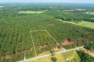 00 Cheek Rd, Gray Court, SC 29645 - Photo 1
