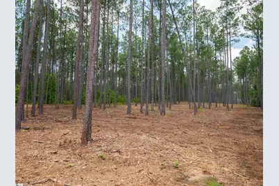 00 Cheek Road #Lot 13, Gray Court, SC 29645 - Photo 13