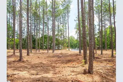 00 Cheek Road #Lot 13, Gray Court, SC 29645 - Photo 19
