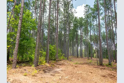 00 Cheek Road #Lot 13, Gray Court, SC 29645 - Photo 21