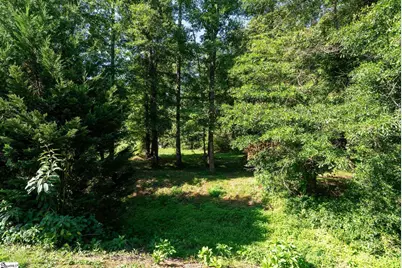 10 Colonel Storrs Court, Greer, SC 29650 - Photo 43