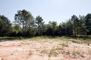 22 Henderson Rd, Gray Court, SC 29645 - Photo 7