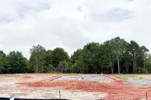60 Henderson Rd, Gray Court, SC 29645 - Photo 3