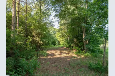 00 Sc-127 Bypass, Laurens, SC 29360 - Photo 9