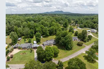 213 Pine Meadow Drive, Travelers Rest, SC 29690 - Photo 39