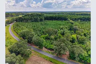 Charlie Rast Road, Swansea, SC 29160 - Photo 9