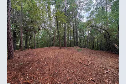 00 N Little River Road, Salem, SC 29676 - Photo 3