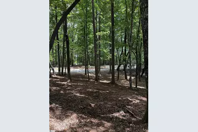 00 N Little River Road, Salem, SC 29676 - Photo 9