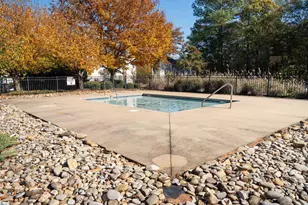 196 Timberleaf Dr, Duncan, SC 29334 - Photo 41