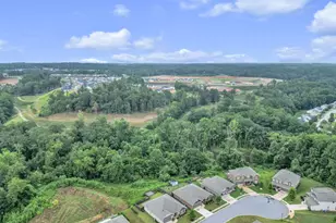 601 Flying Squirrel Wy, Greenville, SC 29605 - Photo 29