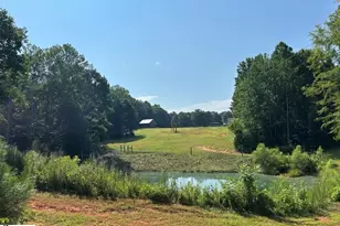 150 Williams Rd, Pelzer, SC 29669 - Photo 19