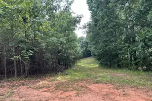 150 Williams Rd, Pelzer, SC 29669 - Photo 23