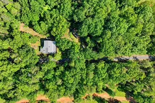 115 Parnell Bridge Rd, Marietta, SC 29661 - Photo 43