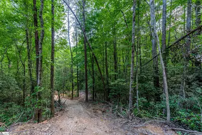 0 Fairway Woods Drive, Pickens, SC 29671 - Photo 9