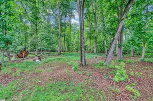 3641 New Cut Rd, Inman, SC 29349 - Photo 27