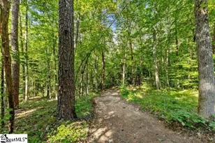300 Chastain Hill Rd, Taylors, SC 29687 - Photo 31