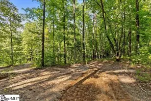 300 Chastain Hill Rd, Taylors, SC 29687 - Photo 31