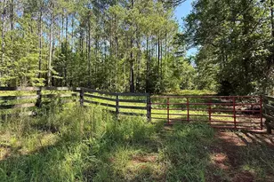 0 Walker Rd, Edgefield, SC 29824 - Photo 1