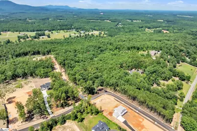 1940 Pleasant Hill Road #Lot 4, Greer, SC 29651 - Photo 5