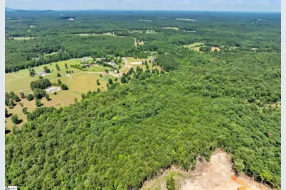 1940 Pleasant Hill Road #Lot 4, Greer, SC 29651 - Photo 9