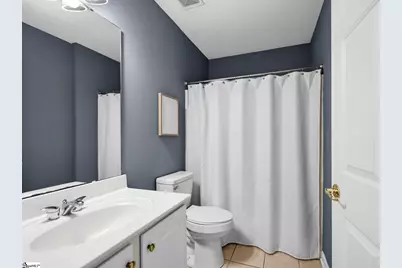 10 River Birch Way, Greer, SC 29650 - Photo 17