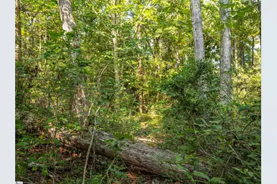 Gibson Road #01, Anderson, SC 29625 - Photo 15