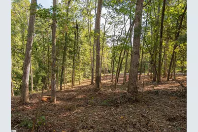 Gibson Road #01, Anderson, SC 29625 - Photo 11