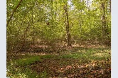 00 Lafrance Road, Anderson, SC 29625 - Photo 13