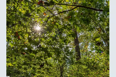 00 Lafrance Road, Anderson, SC 29625 - Photo 5