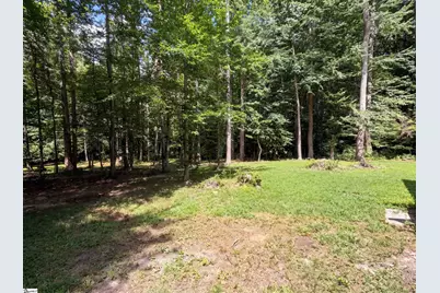335 Dill Circle, Landrum, SC 29356 - Photo 31