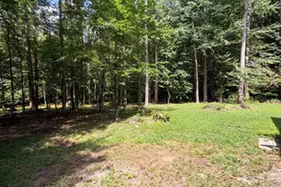 335 Dill Cir, Landrum, SC 29356 - Photo 31