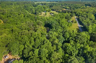 217 Old River Rd, Pelzer, SC 29669 - Photo 31