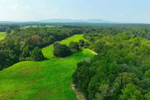 3961 Forrester Rd, Greer, SC 29651 - Photo 29